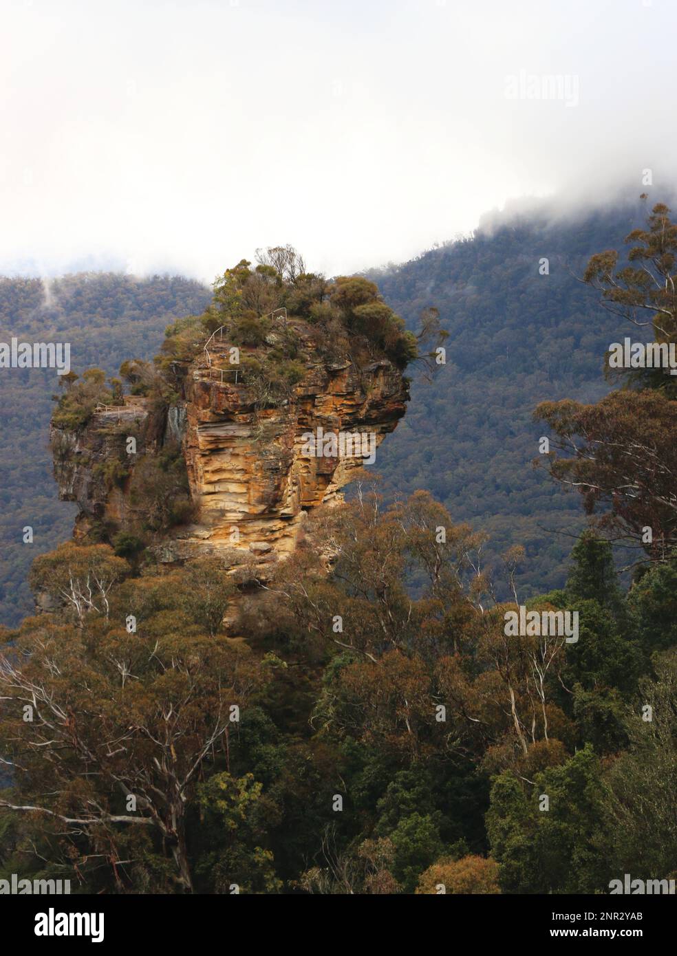 Im Blue Mountains-Nationalpark, NSW, Australien, erhebt sich eine zerklüftete Felswand aus Sandstein. Stockfoto