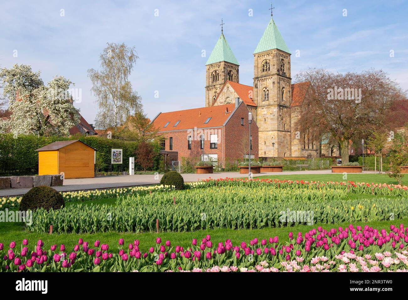 Kirche St. Brigida, im Vordergrund der Dahlia-Garten, im Frühjahr mit Tulpen bepflanzt, Legden, Mülleimer, Nordrhein-Westfalen, Deutschland Stockfoto
