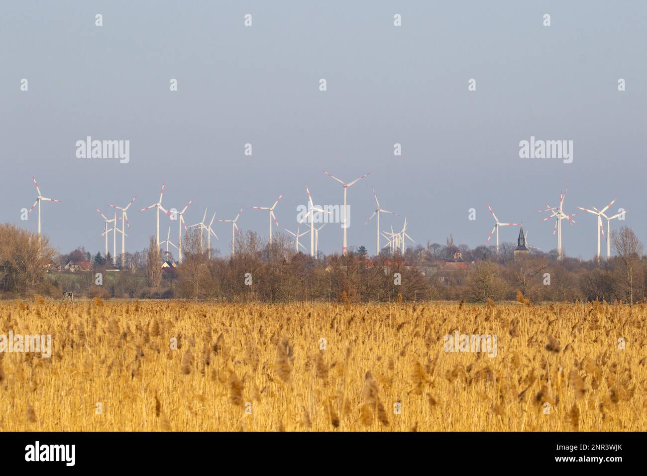 Natürliche Landschaft erfüllt Windpark Stockfoto
