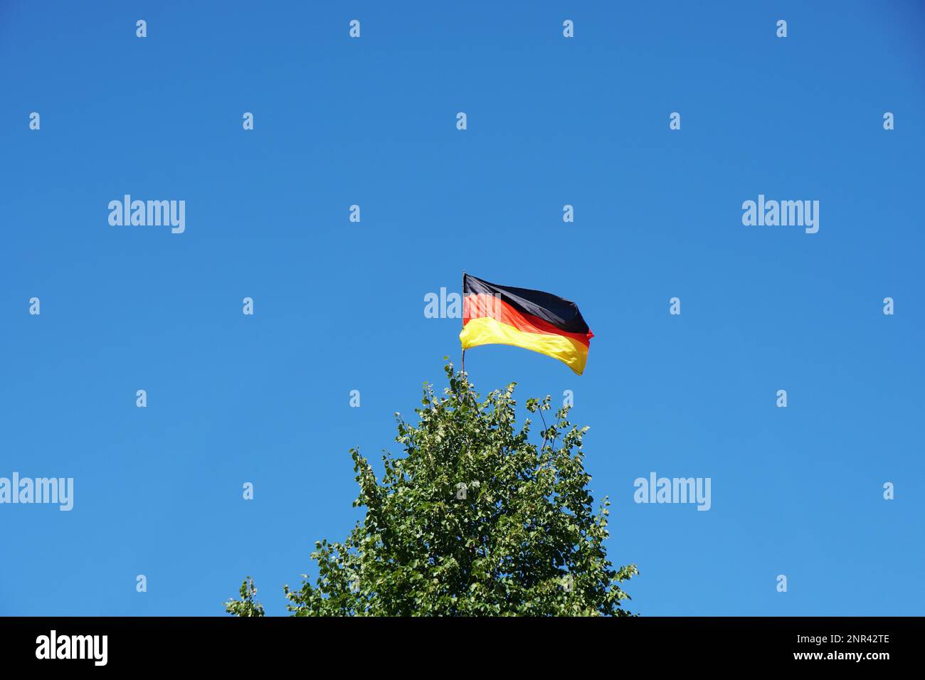 Deutsche Fahne schwenkten auf Baum gegen den klaren Himmel Hintergrund mit Kopie Raum, Deutschland Stockfoto