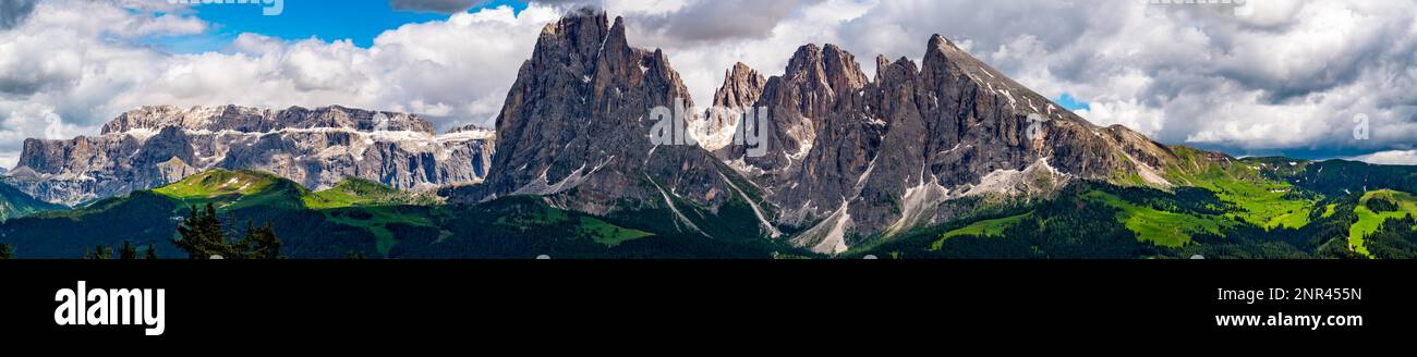 Panoramablick auf die Langkofel-Gruppe oder die Sassolungo-Gruppe im italienischen Dolomit vom alpinen Grünen Plateau Seiser Alm in Südtirol, Italien Stockfoto