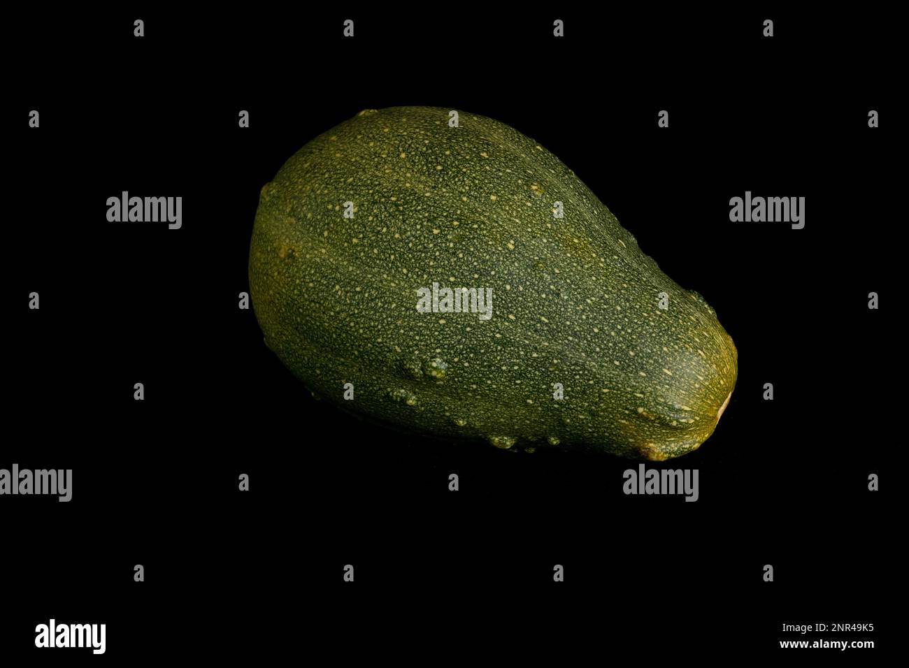 Farbenfroher Kürbis auf schwarzem Hintergrund. Im Studio Stockfoto