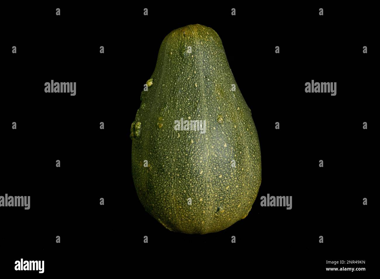 Farbenfroher Kürbis auf schwarzem Hintergrund. Im Studio Stockfoto