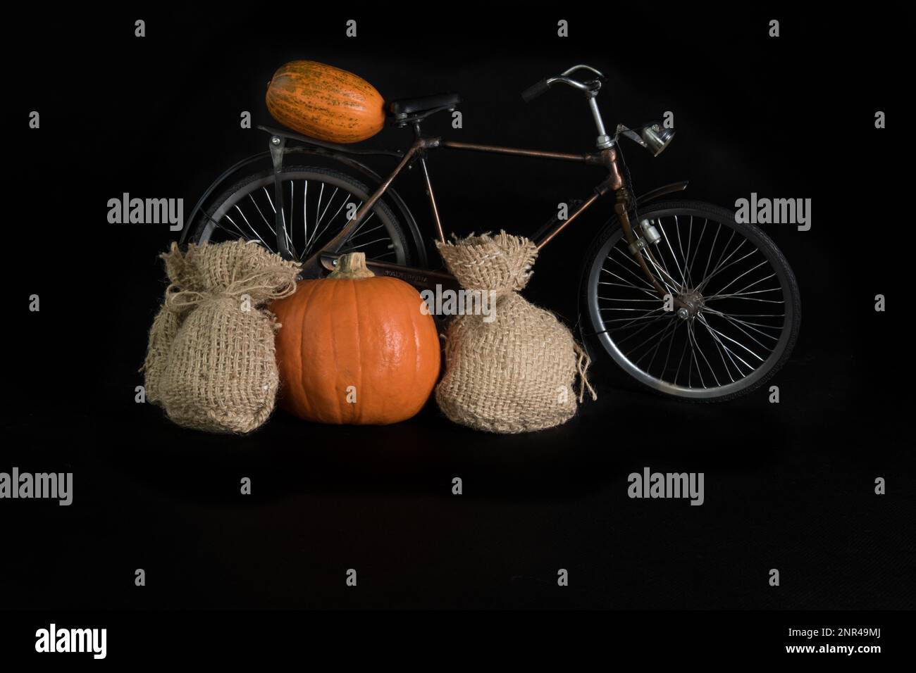 Kürbisse, Fahrrad und eine Jutetasche auf schwarzem Hintergrund. Im Studio Stockfoto