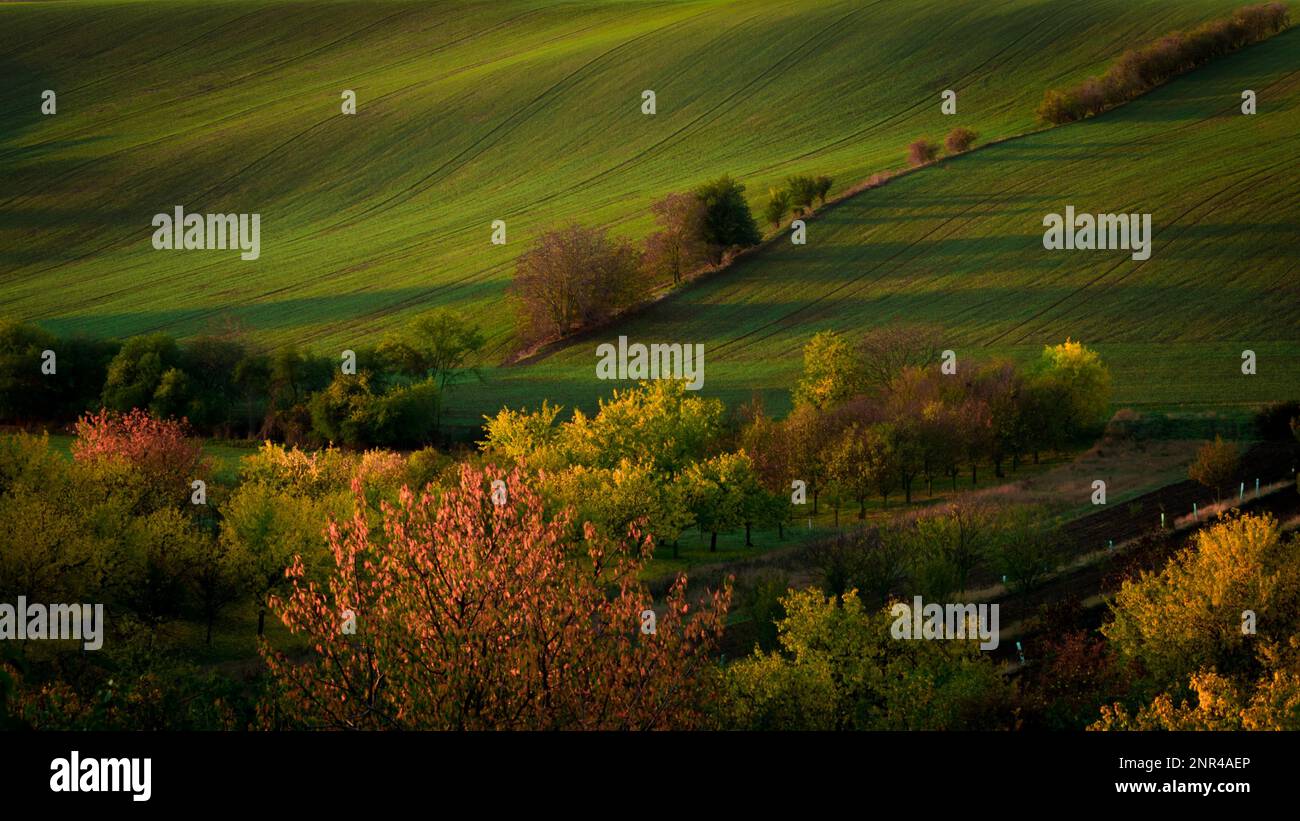 Ein wunderbarer Morgen auf den mährischen Feldern im Herbst. Schöne Farben. Tschechische republik, Mährisch, Tschechische republik Stockfoto