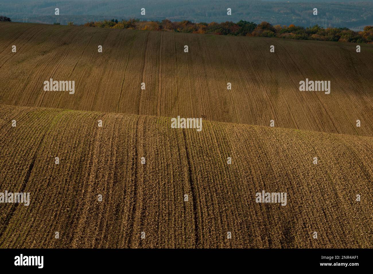 Mährische Landschaften mit welligen Feldern mit einer Fülle von Farben. Tschechische republik, Mährisch, Tschechische republik Stockfoto