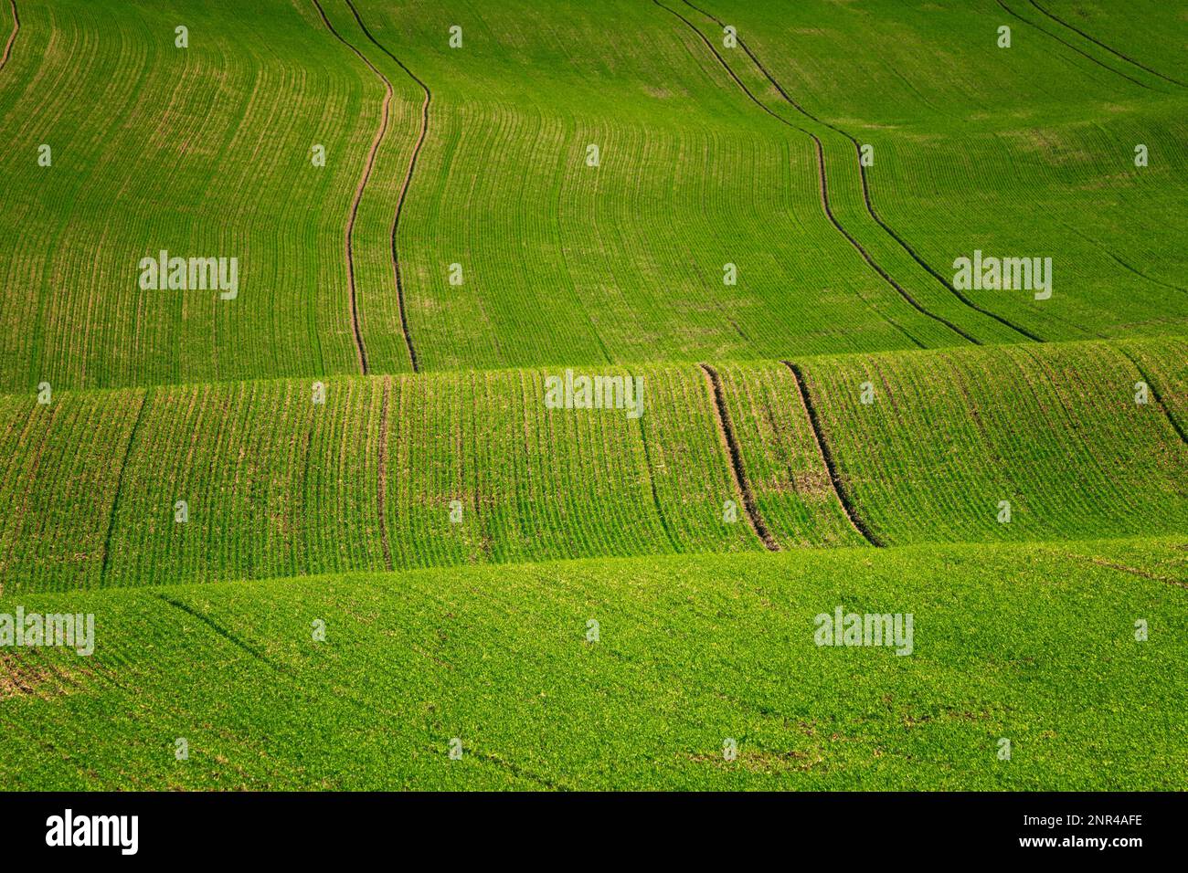 Mährische Landschaften mit welligen Feldern mit einer Fülle von Farben. Tschechische republik, Mährisch, Tschechische republik Stockfoto