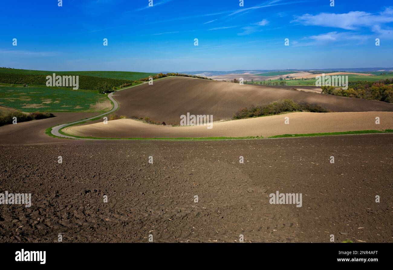 Mährische Landschaften mit welligen Feldern mit einer Fülle von Farben. Tschechische republik, Mährisch, Tschechische republik Stockfoto