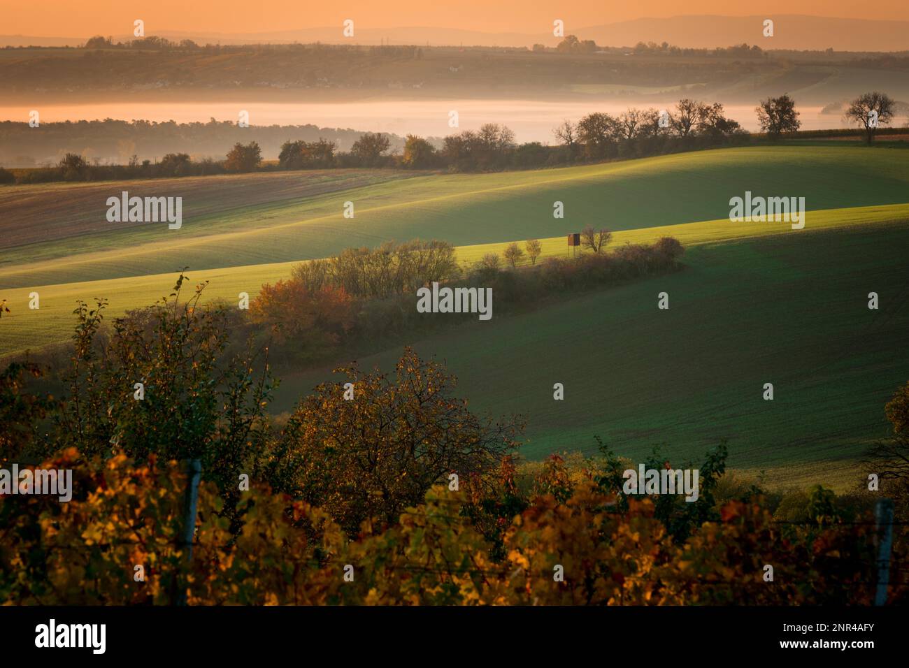 Ein wunderbarer Morgen auf den mährischen Feldern im Herbst. Schöne Farben. Tschechische republik, Mährisch, Tschechische republik Stockfoto