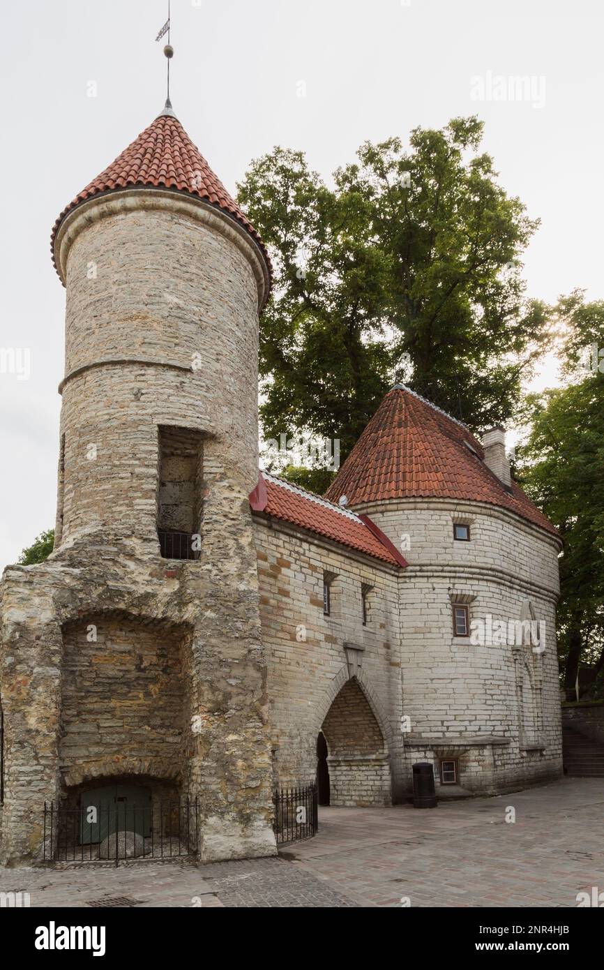 Der Steinturm Viru Gate mit Terrakotta-Fliesendach in der mittelalterlichen Stadt Tallinn, Estland. Stockfoto