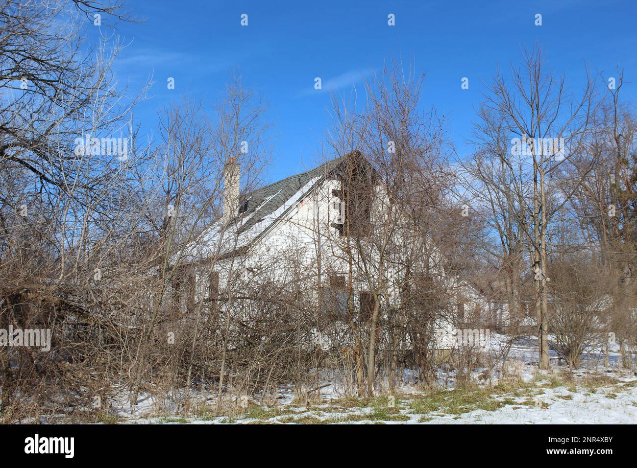 Verlassenes und abgelegenes Haus in Detroits Viertel Brightmoor, das im Winter von Bäumen verdeckt ist Stockfoto