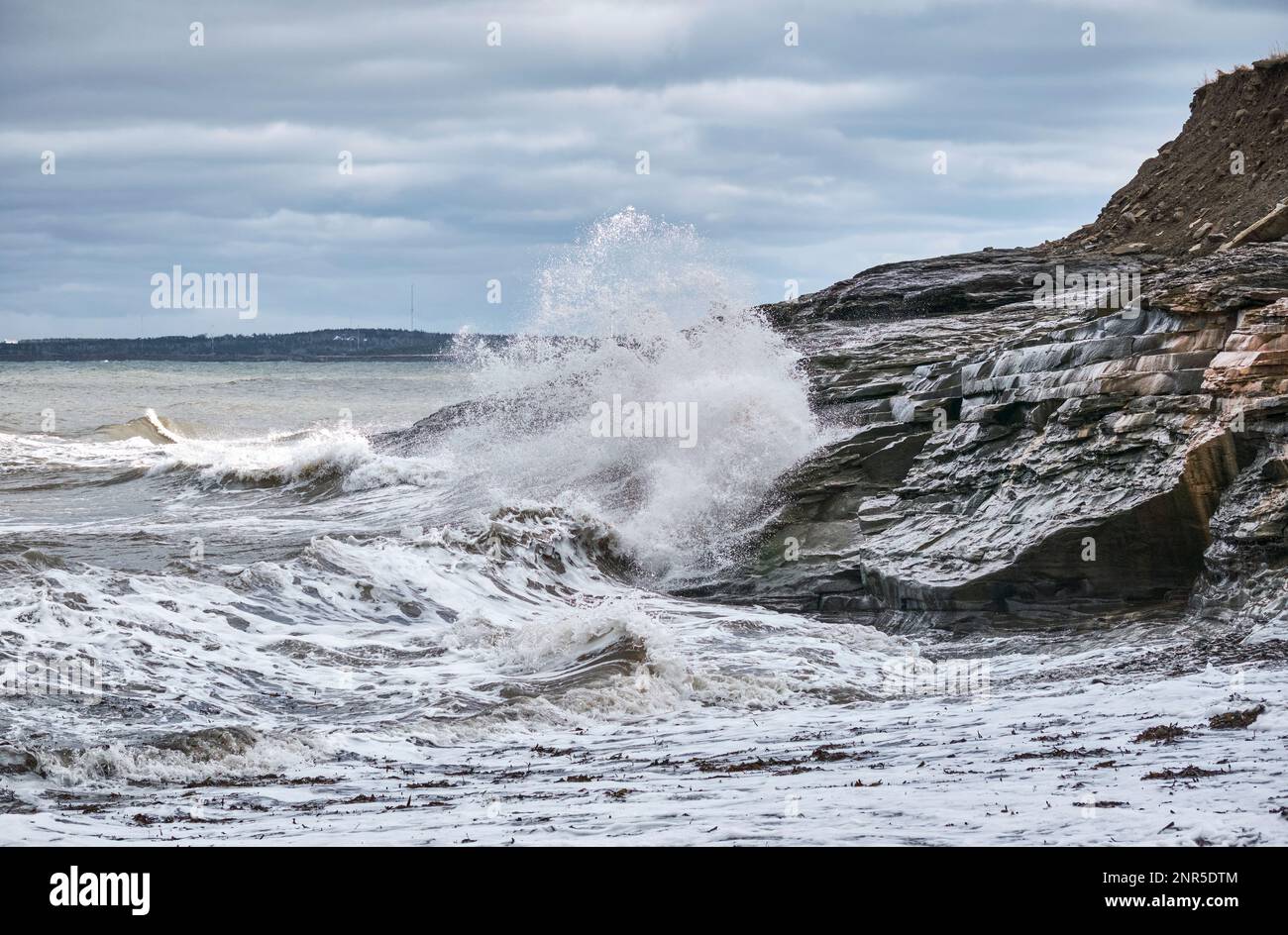 Die zerklüftete Küste von Cape Breton in der Nähe von Glace Bay Nova Scotia wird von starken Wellen durchzogen. Stockfoto