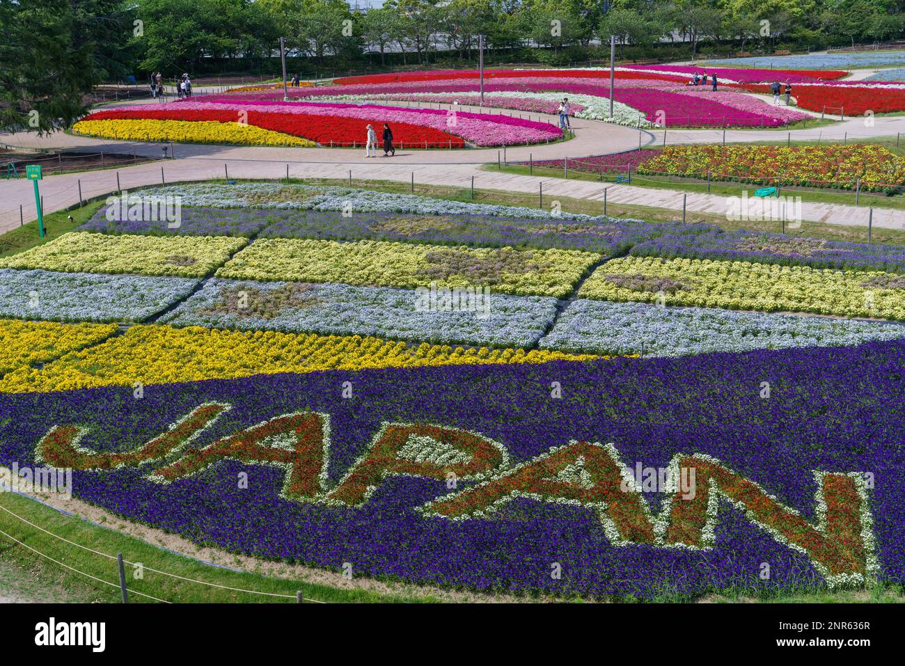 Das Wort Japan wird auf den Feldern des Nabano No Sato Flower Festivals in Japan mit verschiedenfarbigen Blumen geschrieben Stockfoto