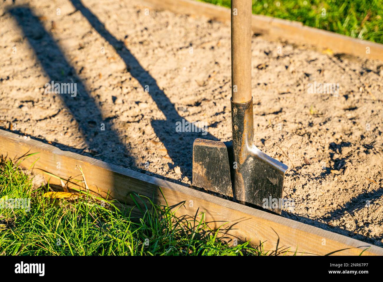 Bajonettschaufel auf einem gepflegten Gartenbett. Warme Abendbeleuchtung bei Sonnenuntergang. Lieblingshobbygärten auf dem Land. Der ausgegrabene Boden ist pr Stockfoto