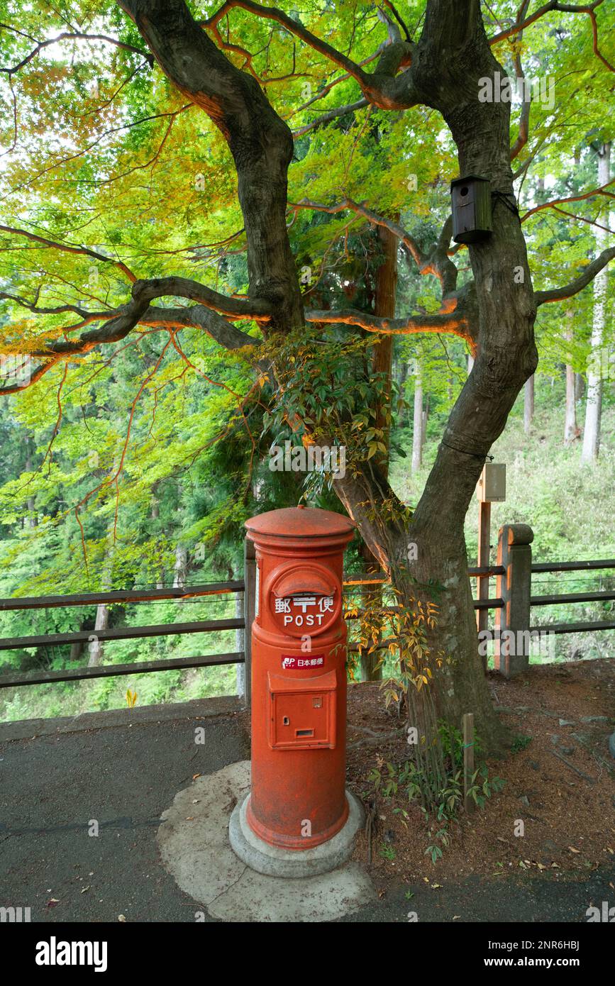 Ein roter Briefkasten neben einem knorrigen Baum in der Nähe des Yunoshimakan A Ryokan in den Bergen über Gero Onsen, Präfektur Gifu, Japan. Stockfoto