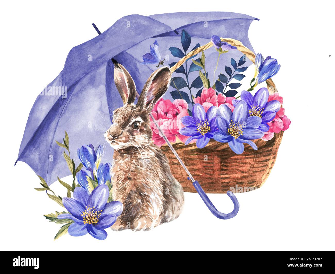 Gezeichnetes Kaninchen, Korb und Blumen unter einem Regenschirm auf weißem Hintergrund. Isolieren. Aquarelldarstellung. Stockfoto