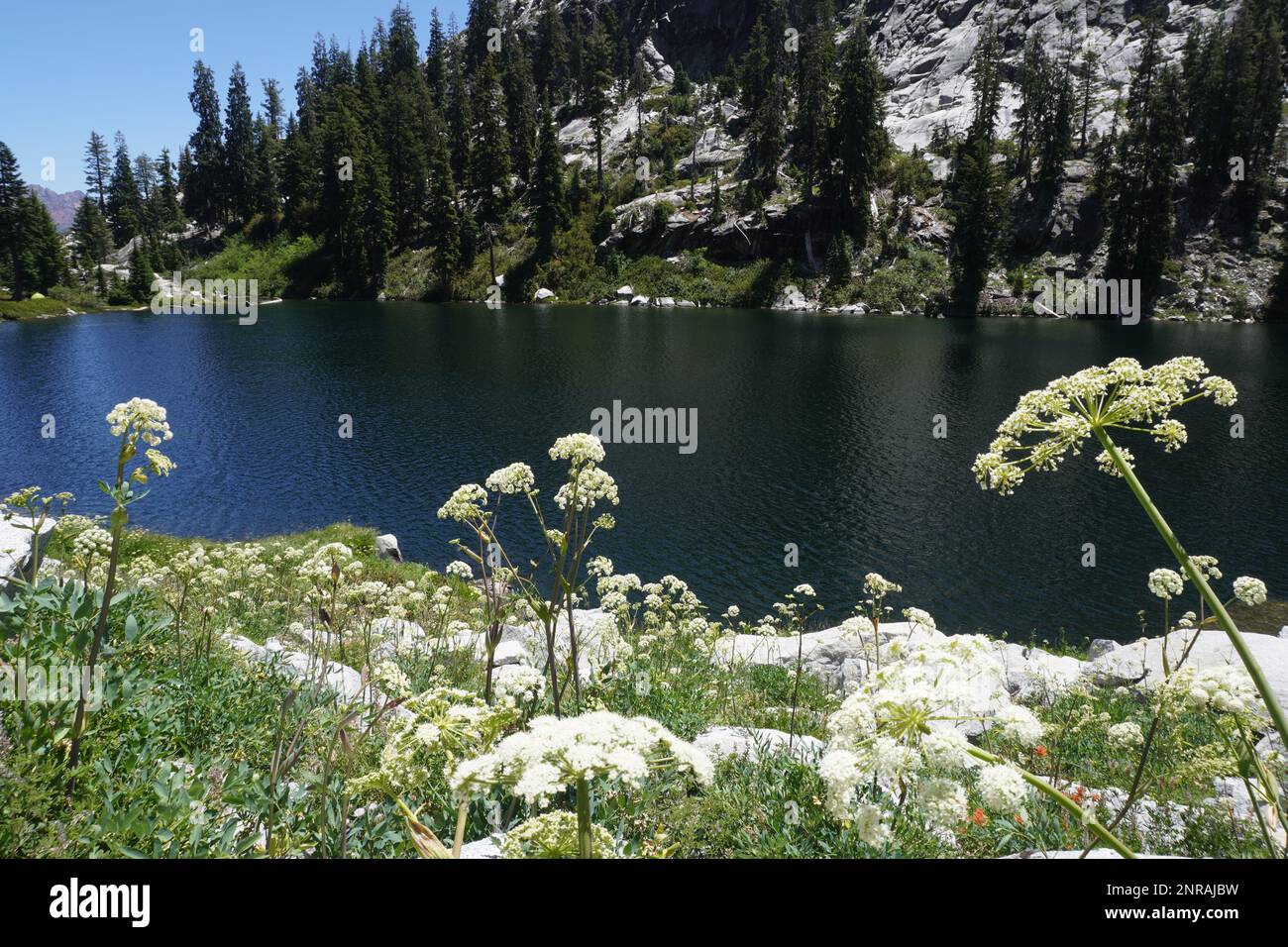 Wunderschöner Bergsee in der Trinity Alp Wilderness, umgeben von Granitgipfeln. Stockfoto