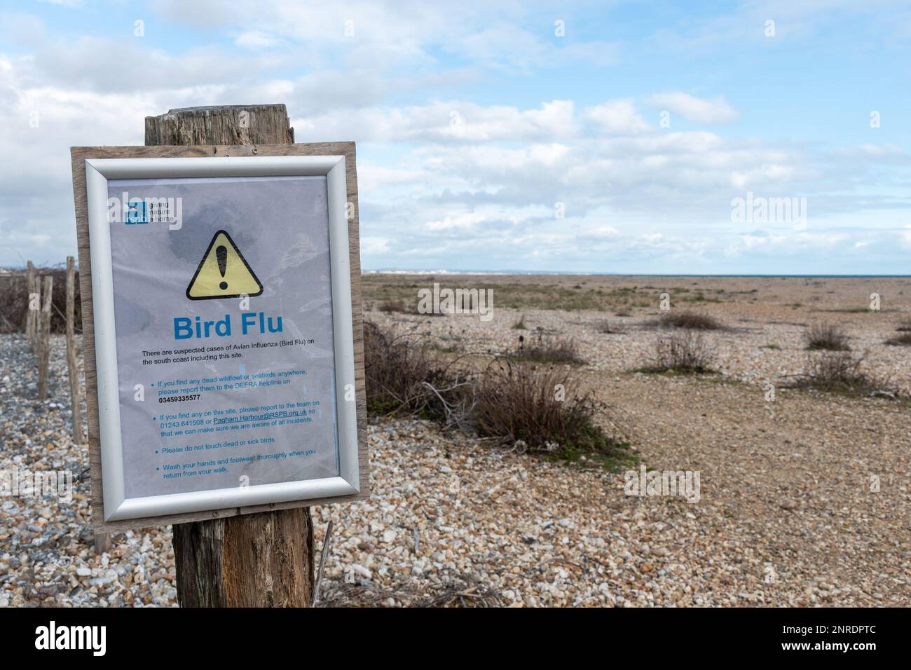 Vogelgrippe-Schild im Pagham Harbour RSPB Nature Reserve im Februar 2023, West Sussex, England, Großbritannien Stockfoto