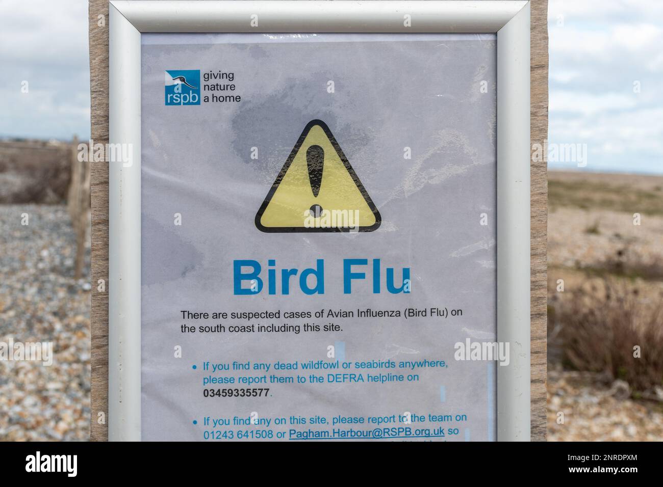 Vogelgrippe-Schild im Pagham Harbour RSPB Nature Reserve im Februar 2023, West Sussex, England, Großbritannien Stockfoto