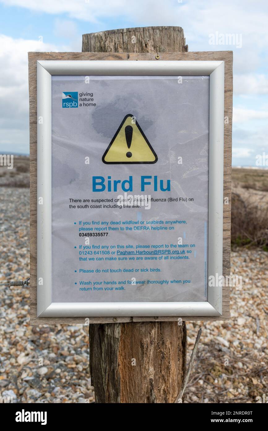 Vogelgrippe-Schild im Pagham Harbour RSPB Nature Reserve im Februar 2023, West Sussex, England, Großbritannien Stockfoto