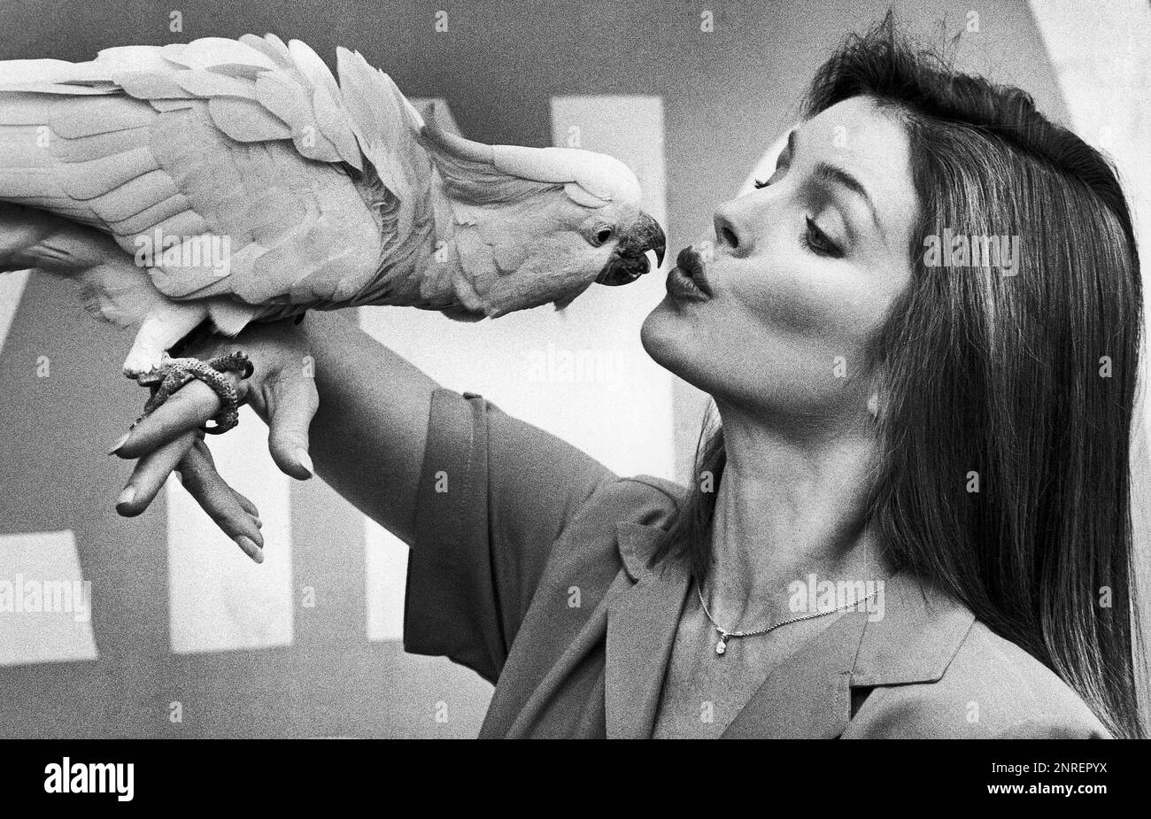 PRISCILLA PRESLEY in DIESEN ERSTAUNLICHEN TIEREN (1980), Regie von MARY HARDWICK. Kredit: Alan Landsburg Productions/Album Stockfoto