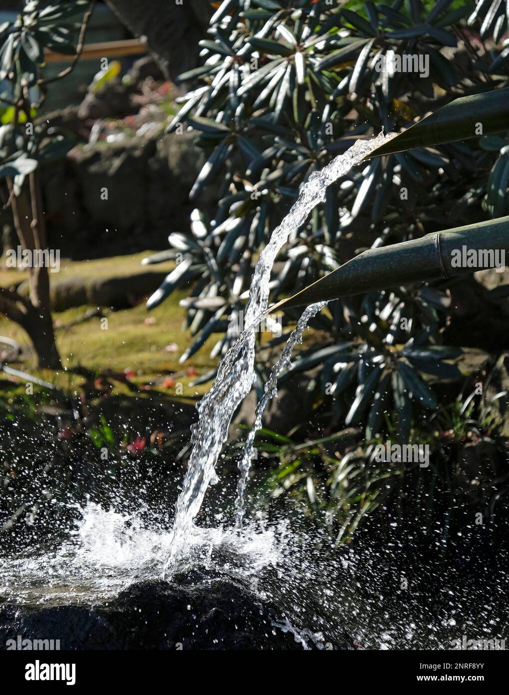 Wasser mit Bewegungsunschärfe aus einer Bambuspfeife in einem japanischen Garten Stockfoto
