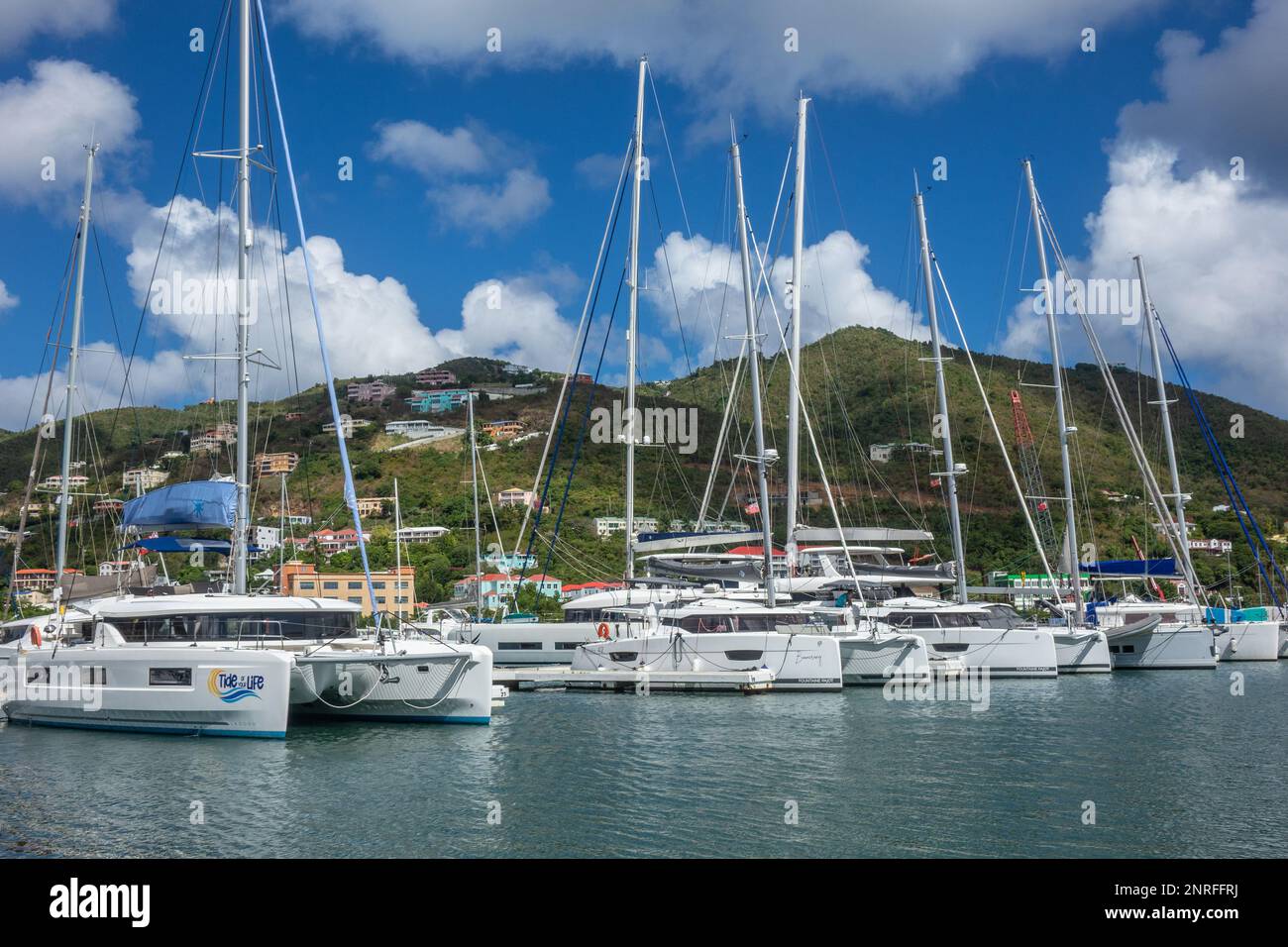 Karibik, Britische Jungferninseln, Tortola, Roadtown, Yachtbecken Stockfoto