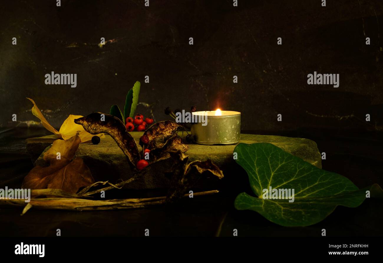 Stille Leben mit Beeren und Kerze Stockfoto