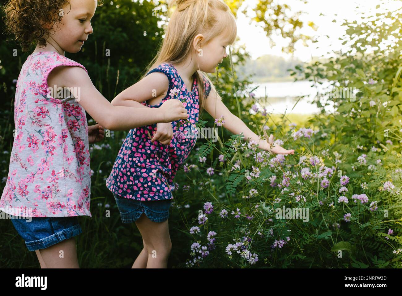 Mädchen in pinkfarbenen Hemden pflücken Blumen vom Naturgras Stockfoto