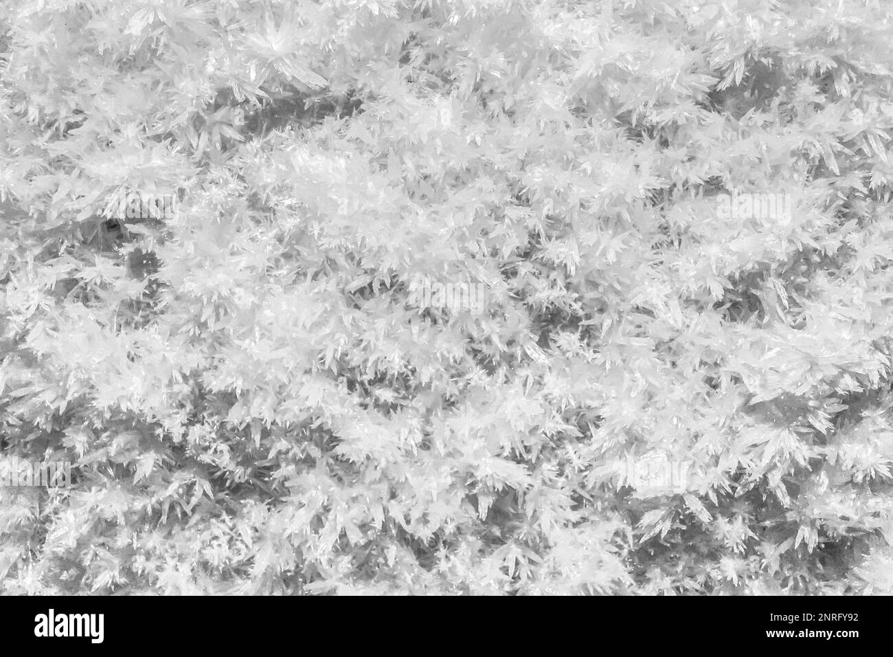 Vollbild-Nahaufnahme mit vielen kleinen weißen Kristallen Stockfoto