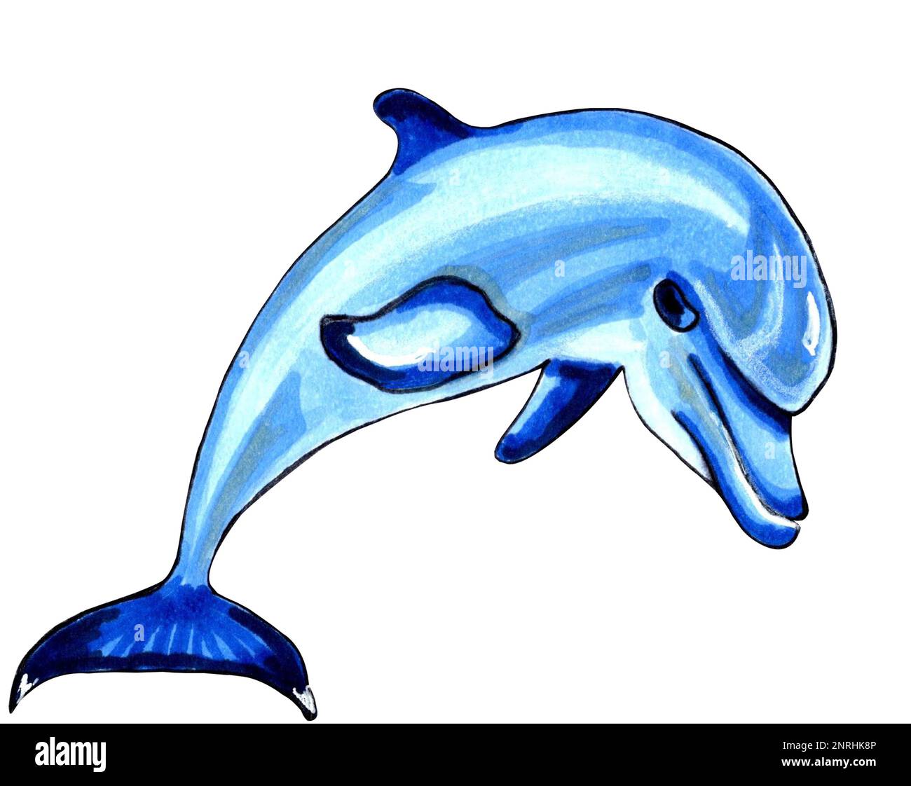 Delfinblau. JPEG-Darstellung von Meerestieren. Stockfoto