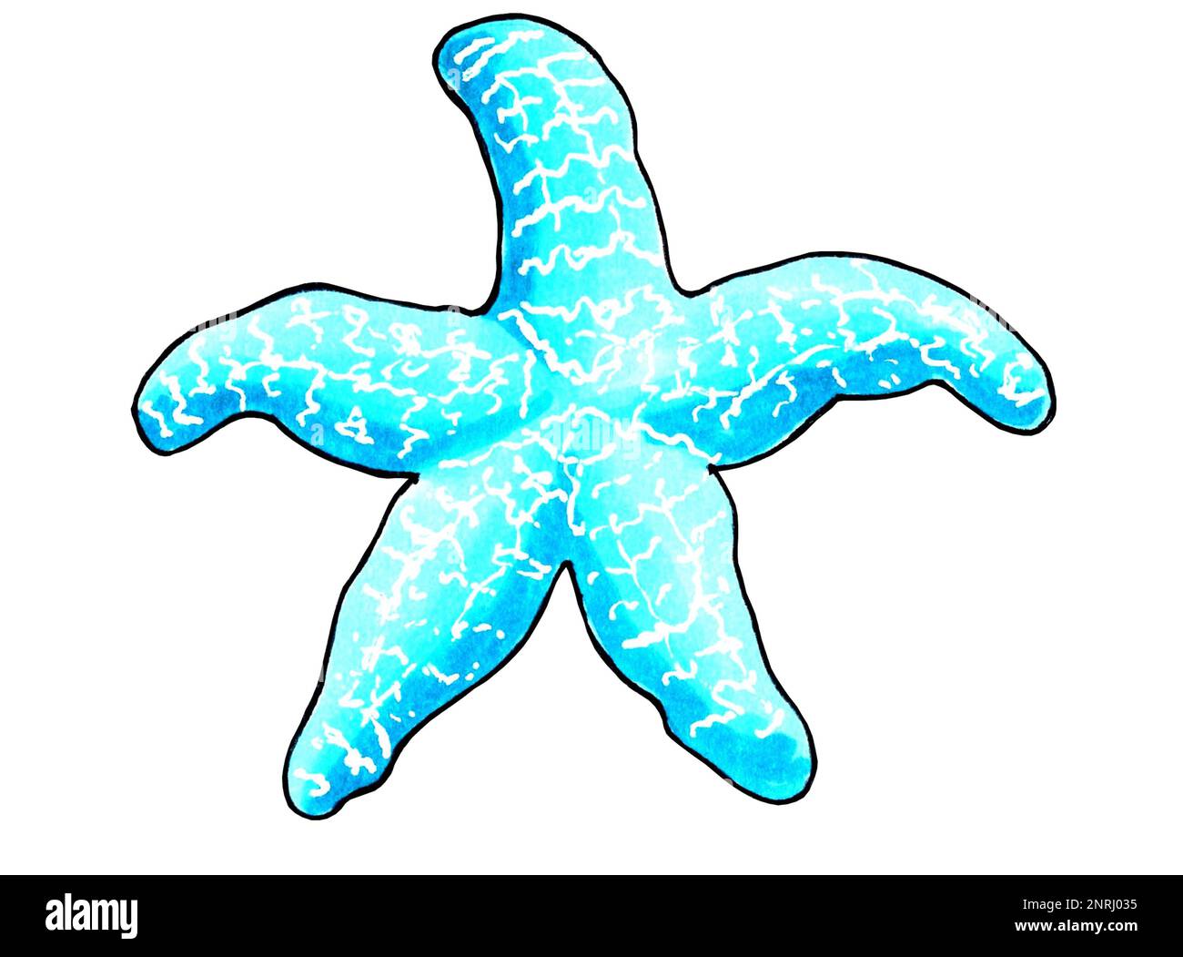 Seesterne in Aquafarbe. JPEG-Darstellung von Meerestieren. Stockfoto