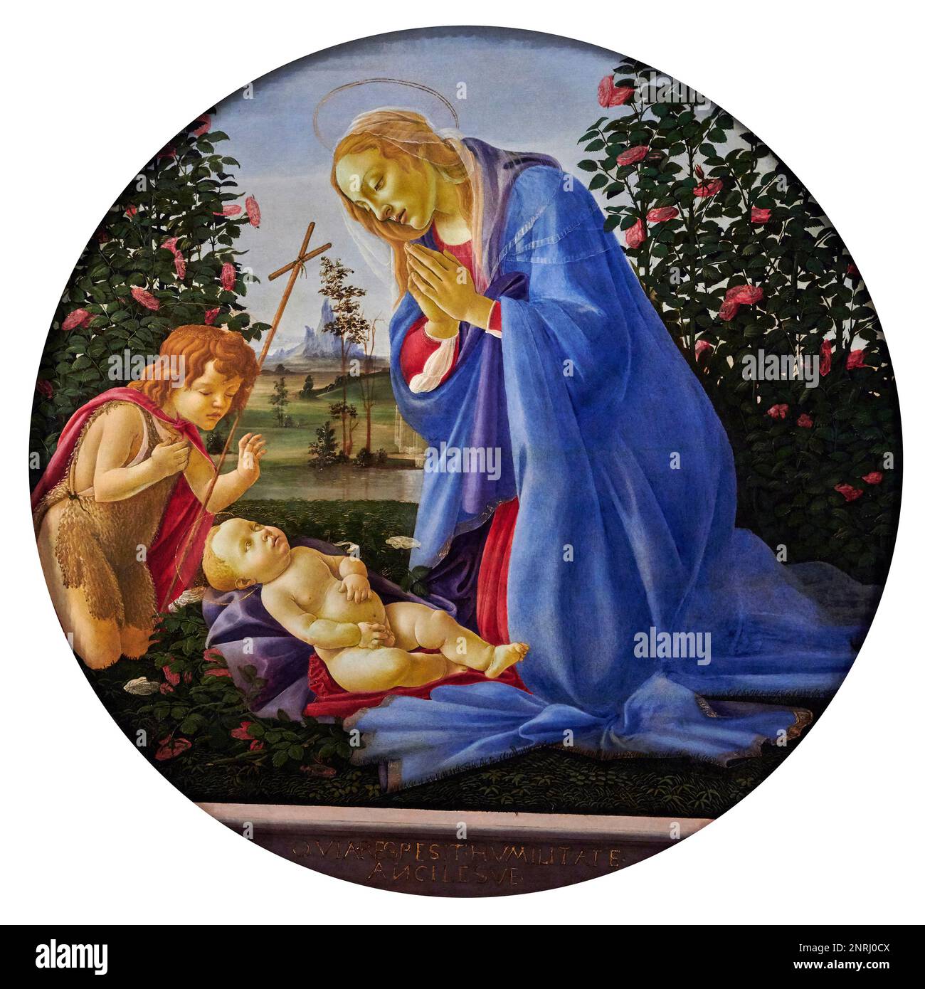 Madonna adorante il Bambino con S. Giovannino - tempera all’ uovo su tavola - Sandro Botticelli - XV secolo - Piacenza, Musei Civici di Palazzo Fa Stockfoto