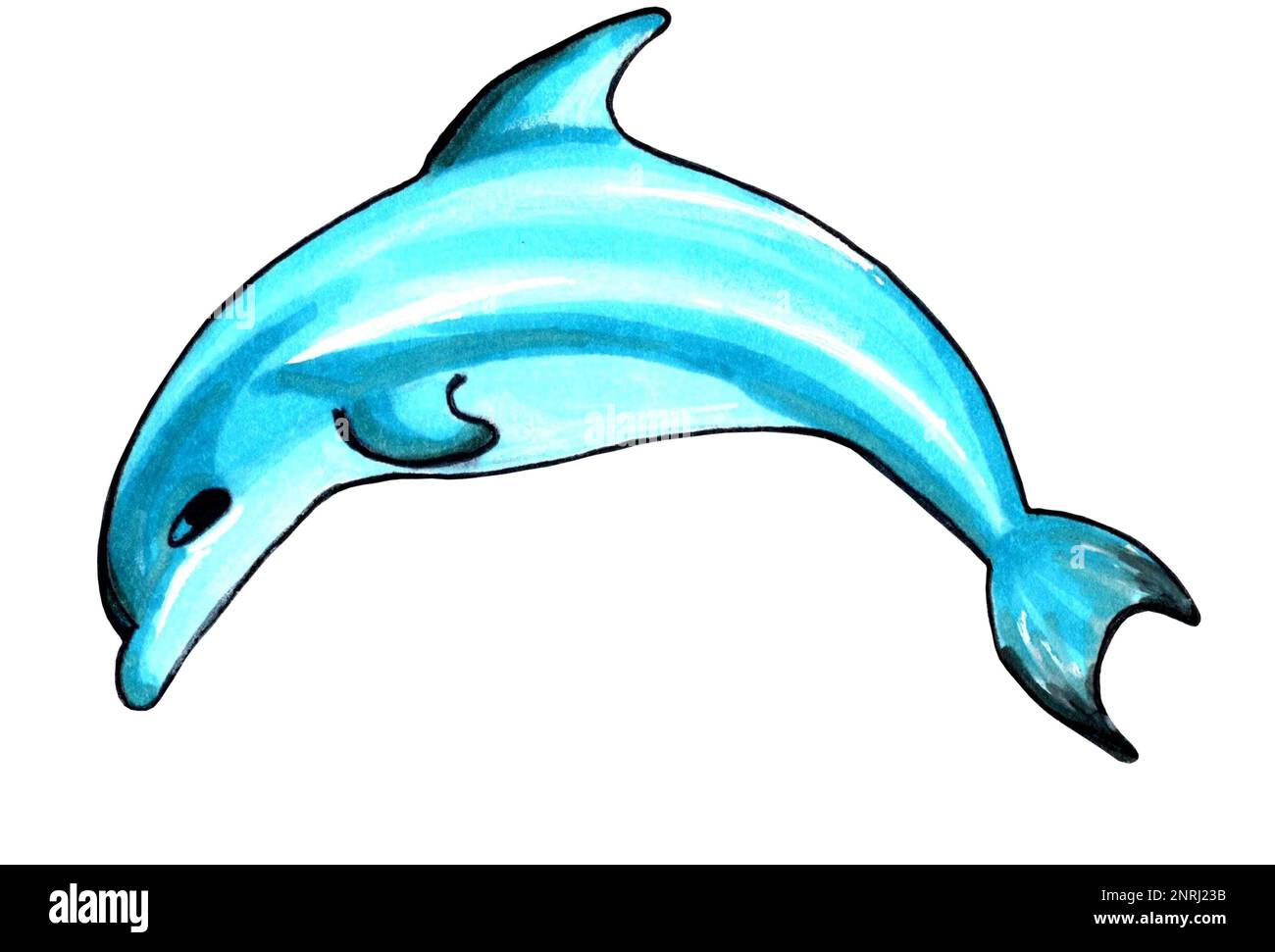 Delphine in Aquafarbe. JPEG-Darstellung von Meerestieren. Stockfoto