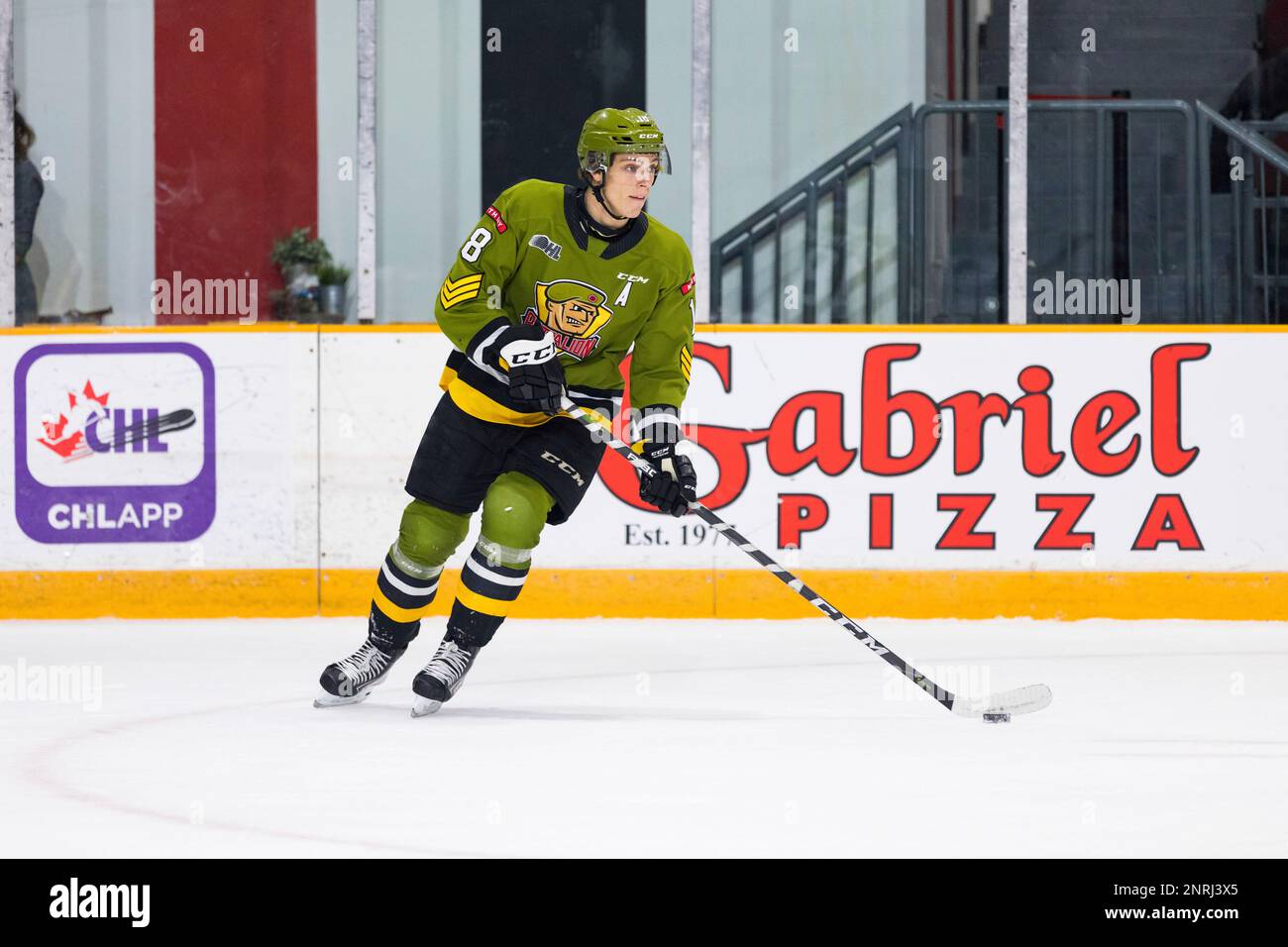 OTTAWA, ON - DECEMBER 01: North Bay Battalion Center Matthew Struthers (18) skates with the puck during Ontario Hockey League action between the North Bay Battalion and Ottawa 67's on December 1, 2019, at TD Place Arena in Ottawa, ON, Canada. (Photo by Richard A. Whittaker/Icon Sportswire) (Icon Sportswire via AP Images) Stockfoto