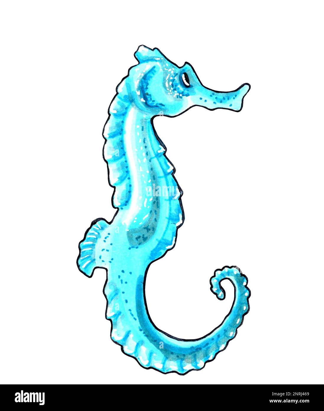 Seepferdchen in Aqua-Farbe mit blauen Flecken. JPEG-Darstellung von Meerestieren. Stockfoto