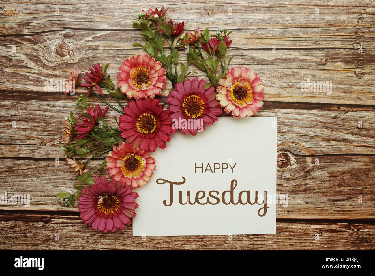 Happy Tuesday Typografie Text mit Blumen auf Holzhintergrund Stockfoto