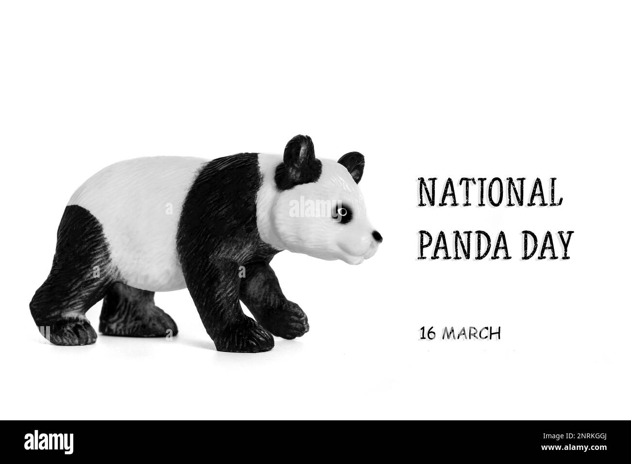 National Panda Day 16. März Feiern Sie die flauschigsten, Bambus-fressenden Bären, die für China Nationalstolz sind. Deshalb ist es wichtig, prot Stockfoto