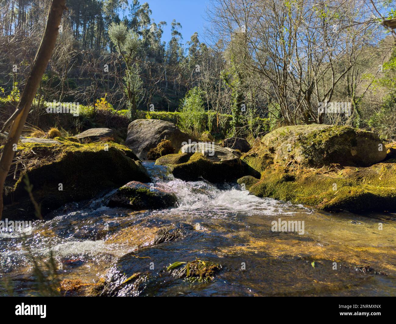 Wasserlauf in der Nähe des Wasserfalls Fecha de Barjas (auch bekannt als Tahiti-Wasserfall) in den Bergen des Peneda-Geres-Nationalparks, Portugal. Stockfoto
