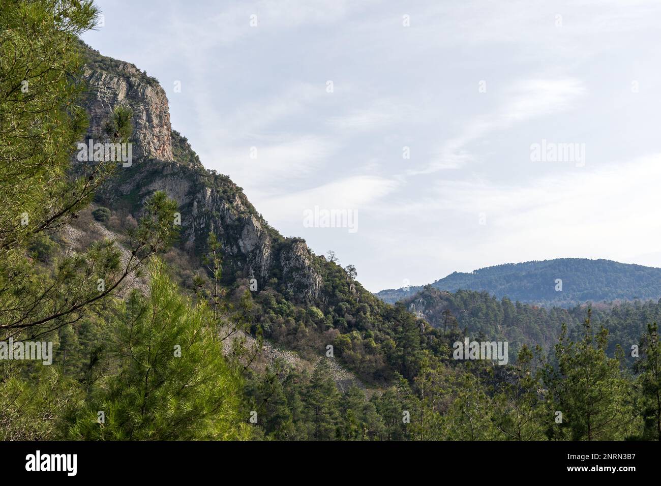 Bergtal mit Wald. Ländliche Landschaft. Stockfoto