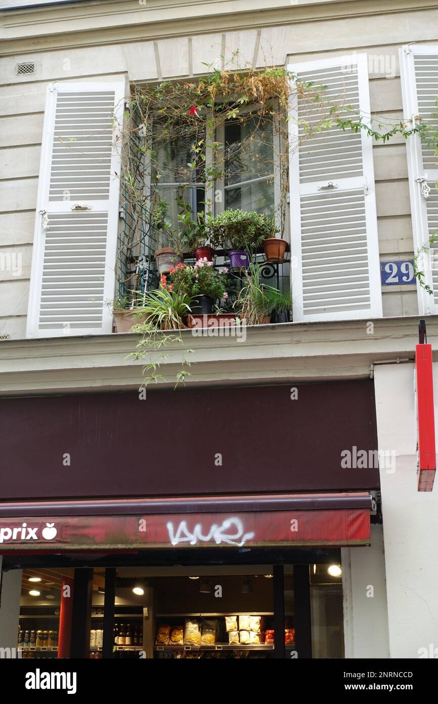 Ein Fenster in Paris mit Pflanzen Stockfoto