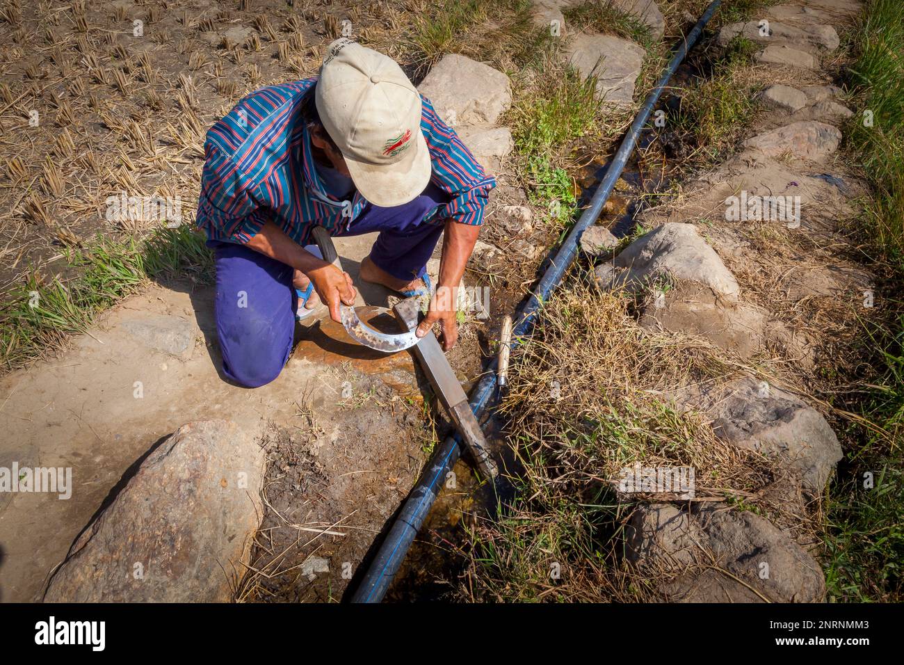 Ein Bauer schärft die Sichel, um für die Reisernte bereit zu sein, Punakha, Bhutan. Stockfoto