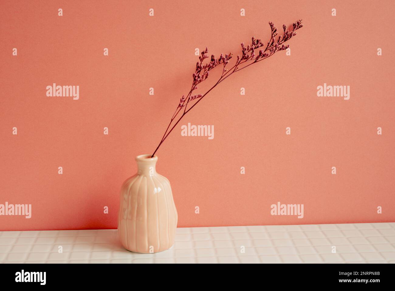 Vase aus rosa trockener Blume auf weißem Tisch. Rosafarbener Wandhintergrund. Inneneinrichtung Stockfoto