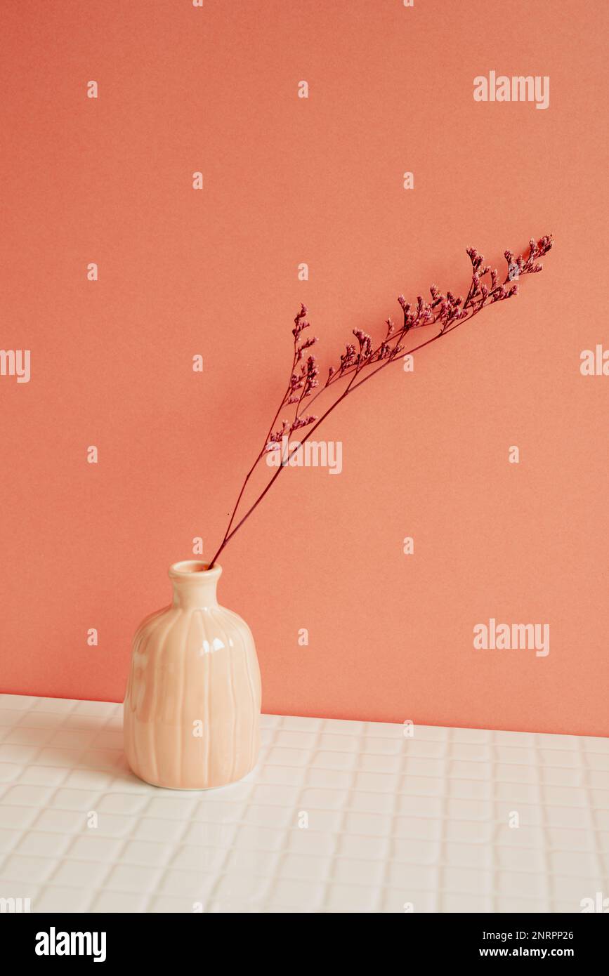 Vase aus rosa trockener Blume auf weißem Tisch. Rosafarbener Wandhintergrund. Inneneinrichtung Stockfoto