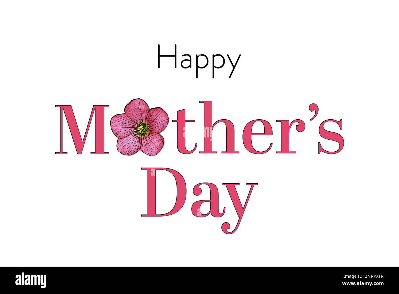 Kreative Muttertagskarte mit pinkfarbenen Sorrel-Blumen Illustration isoliert auf weißem Hintergrund und grußtext zum Muttertag Stockfoto