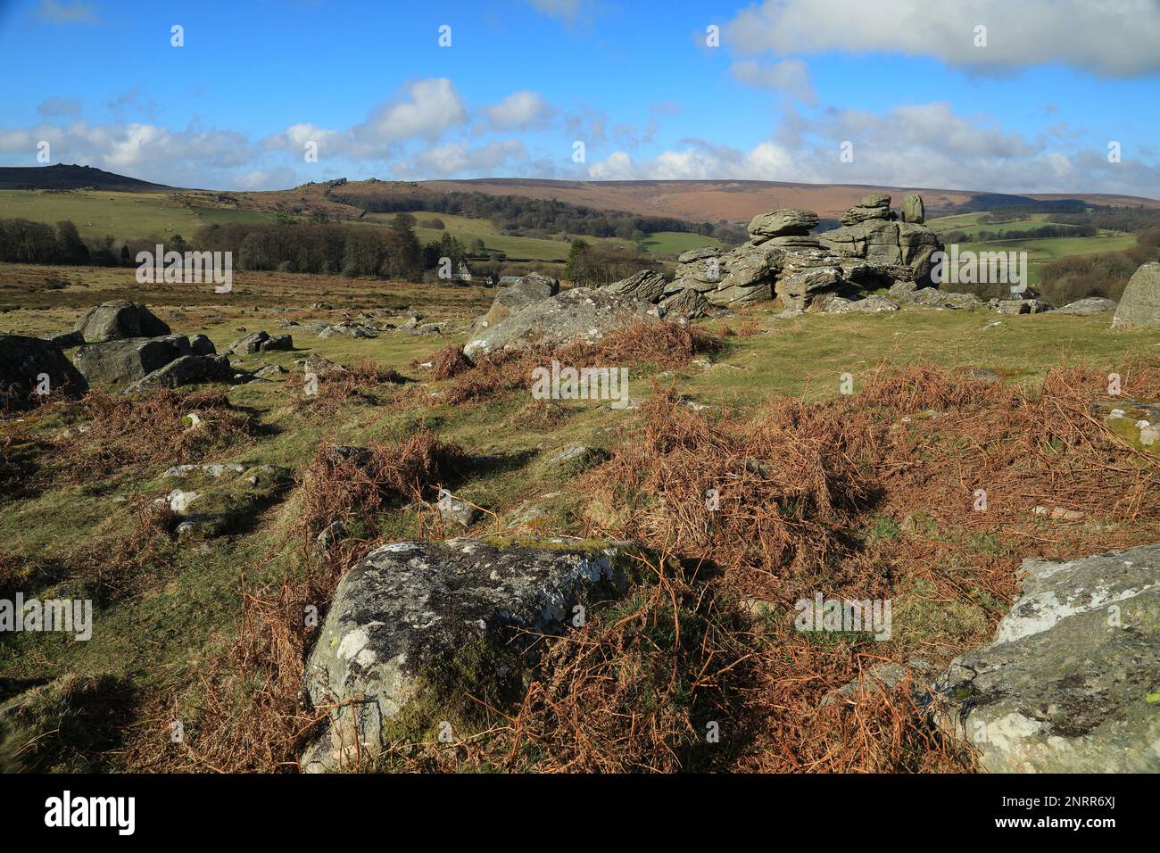 Frühlingsblick vom Hound Tor in Richtung Honeybag Tor. Dartmoor, Devon, England, Großbritannien Stockfoto