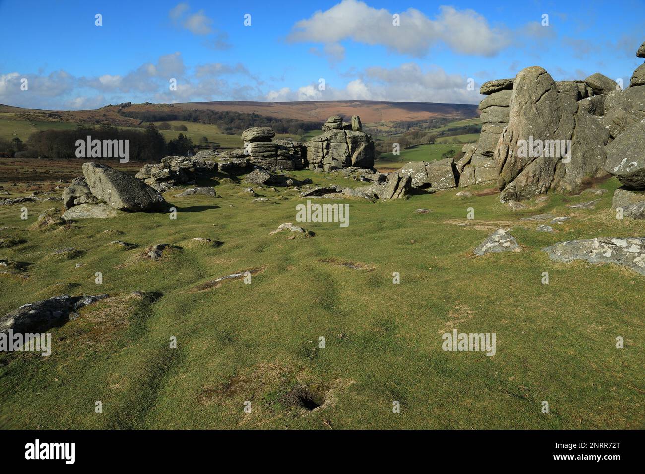 Frühlingsblick vom Hound Tor in Richtung Honeybag Tor. Dartmoor, Devon, England, Großbritannien Stockfoto