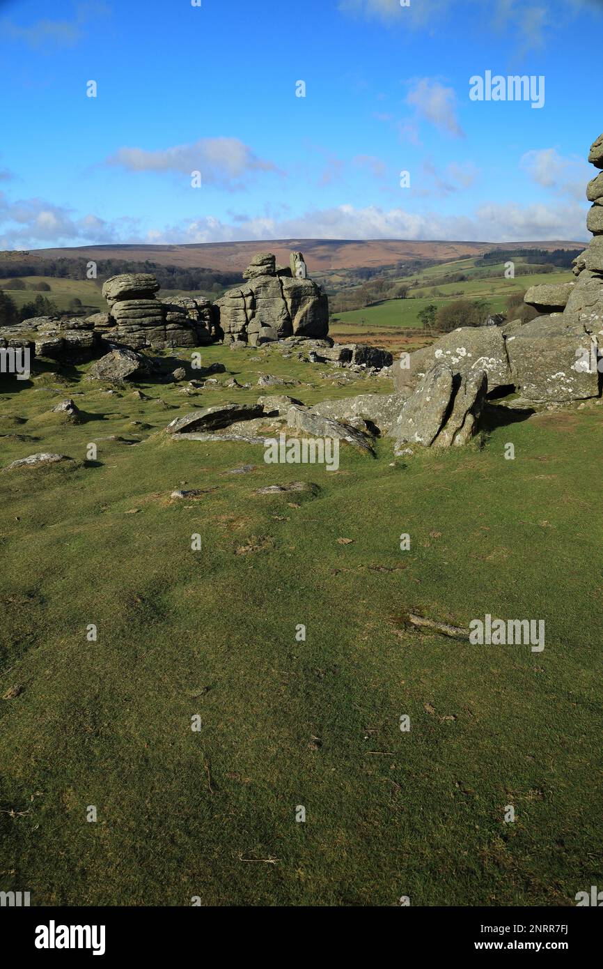 Frühlingsblick vom Hound Tor in Richtung Honeybag Tor. Dartmoor, Devon, England, Großbritannien Stockfoto
