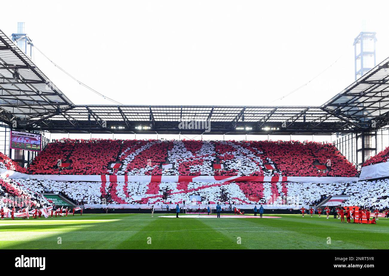Bundesliga, Rhein Energie Stadion Köln: 1. FC Köln vs. VfL Wolfsburg; Choreographie zum 75. Geburtstag des FC Köln. Stockfoto