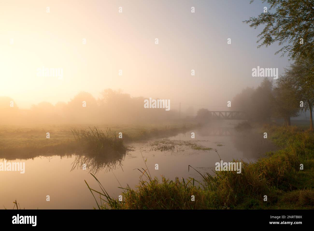 Der Waveney River in Mendham, Suffolk, Großbritannien, an einem nebligen Herbstmorgen Stockfoto